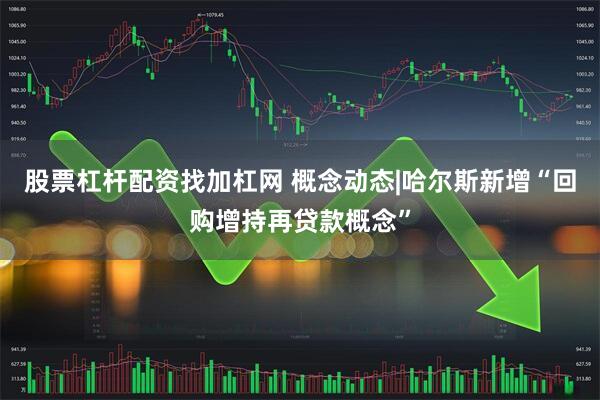 股票杠杆配资找加杠网 概念动态|哈尔斯新增“回购增持再贷款概念”