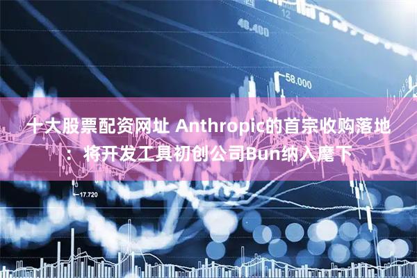 十大股票配资网址 Anthropic的首宗收购落地:将开发工具初创公司Bun纳入麾下